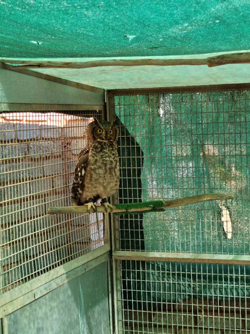 9 Bedroom Property for Sale in Hartbeespoort Rural North West